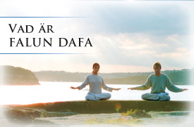 Om Falun Dafa